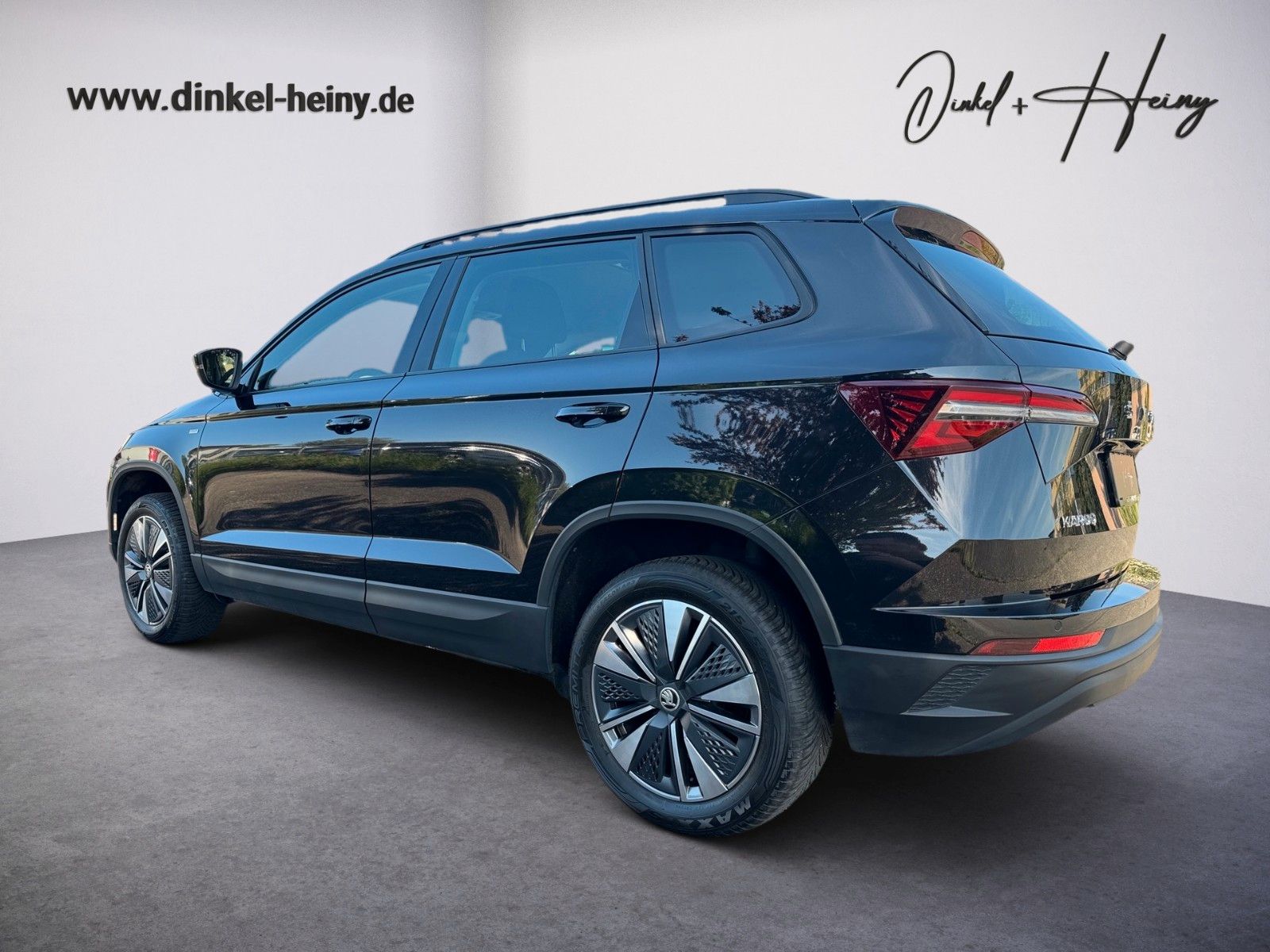 Fahrzeugabbildung SKODA Karoq Ambition Tour 1.5 TSI