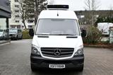 Mercedes-Benz Sprinter 316CDI Kühlkasten Tief-Kühler Standkühl - Mercedes-Benz: Weiß