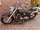Yamaha Drag Star 650 - YAMAHA Drag-Star
