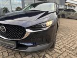 Mazda CX-30 2.0L e-SKYACTIV G 122ps Homura Allwetterre - gebrauchte Mazda CX-30 aus dem Jahr 2024