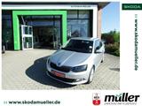 Skoda Fabia Drive 1.2TSI 81KW DSG RFK PDC  AHK - Skoda Fabia: R