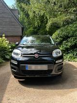 Fiat Panda schwarz  Klima wenig Kilometer 1. Hand - Fiat Panda Gebrauchtwagen in Hamburg