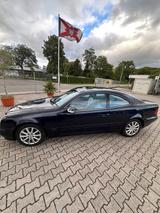 Mercedes-Benz CLK, 230 Kompressor, Avangarde - Mercedes-Benz 230 mit Benzin-Antrieb: Clk
