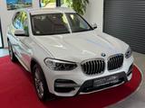 BMW X3 xDrive 30 e Luxury Line 1.Hand/Kamera/M-Inter - BMW X3: Line X