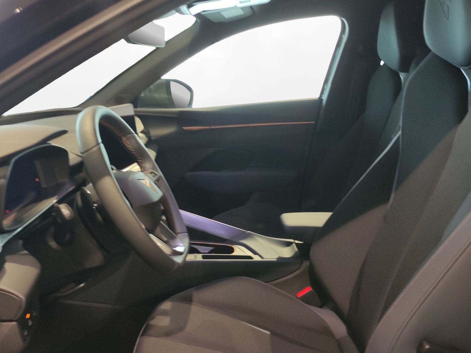 Cupra Terramar - Bild 9