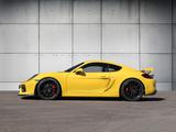 Porsche 981 Cayman GT4 - Porsche Cayman aus 2015