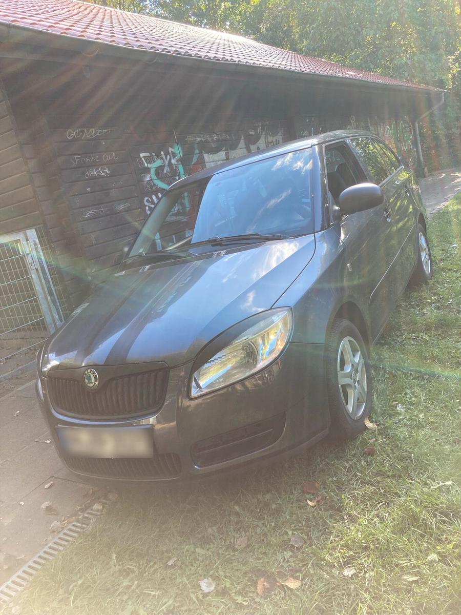 Skoda Fabia 2009 — photo 10