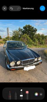 Jaguar XJ 12 Bj 12.1985 Sovereign - Jaguar Gebrauchtwagen von 1985