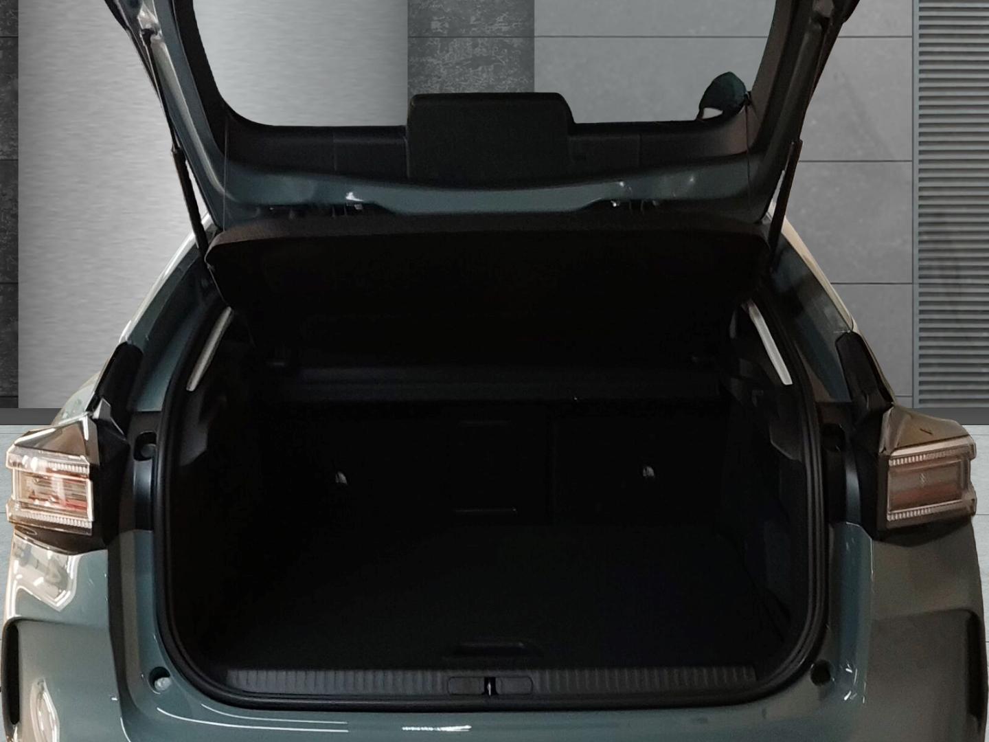 Citroën C4 MAX Hybrid AT Techno-Paket Dach schwarz Winte