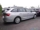 Skoda Octavia Combi 1.5 TSI AHK LED Sitzh. Smart Link - Skoda Octavia Jahreswagen
