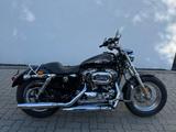 Harley-Davidson Sportster 1200 Custom XL1 200 C - HARLEY-DAVIDSON 2012 SPORTSTER