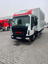 Iveco Eurocargo 80 E22 - Iveco Eurocargo