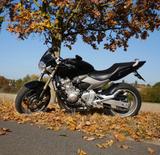 Honda Cb 600 f Hornet Wochenendpreis 3100€ - HONDA 2005 HORNET 600