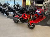 Honda MSX125 mit nur 2240km *Service neu* - Offers