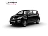 Fiat Panda (Pandina) Icon Hybrid Klimaanlage Parkpilo - Fiat Panda Neuwagen mit Benzin-Antrieb