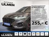 Ford Kuga Plug-In Hybrid ST-Line X Navi Voll-LED AHK  - Ford Gebrauchtwagen von 2022
