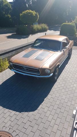 Ford Mustang 1967 400PS V8 331 cui 5,4 Liter