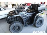 CFMOTO CForce 450S 4x4 + Koffer + Winde + AHK - CFMOTO QUAD