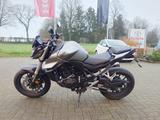 Honda CB750 Hornet *1.Hand*neue Reifen*Quickshift*WS* - HONDA CB750 HORNET