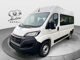 Fiat Ducato 9 Posti 35Q MH2 2.2 M-jet 140cv Tras - Fiat Ducato Jahreswagen