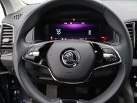 Skoda Karoq - Vorschau Bild 11