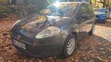 Fiat Punto 1.2 8V Active Active - Fiat Punto in Hamburg