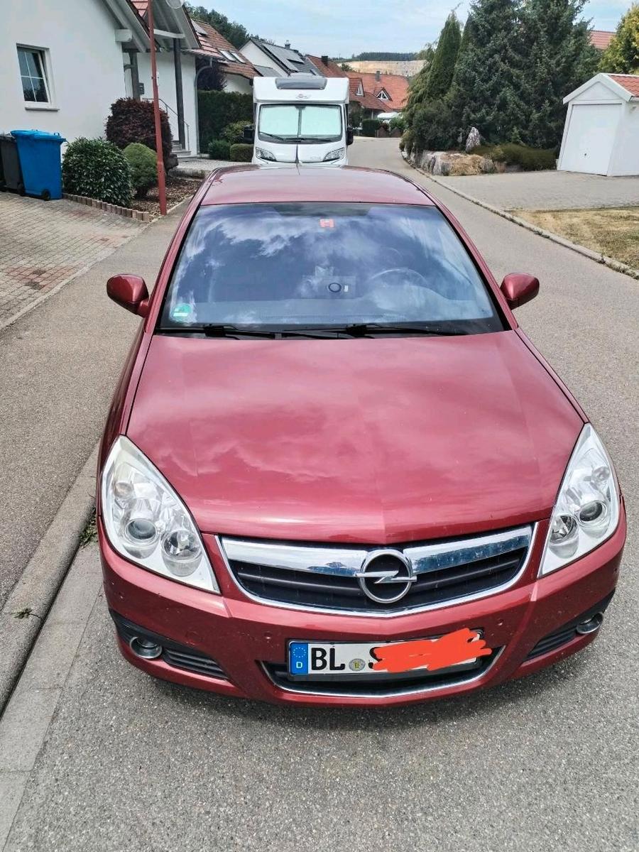 Opel Signum 2008 — rear view