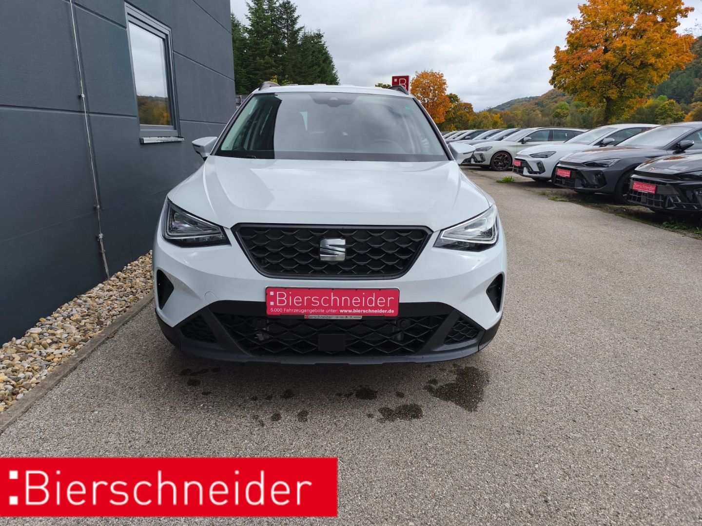 Seat Arona 1.0 TSI DSG ROAD ab 125,- 2.380,- Anzahlun