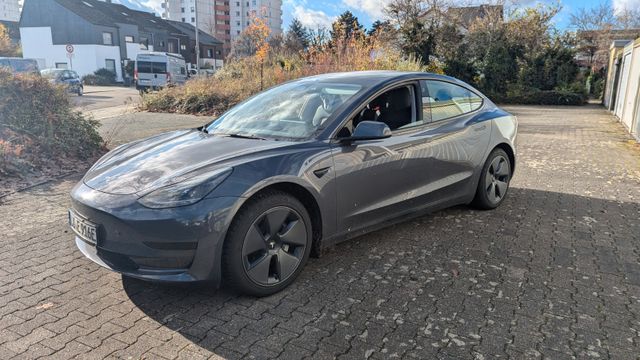 Tesla Model 3 RWD 2023 USS 60kwh Grau AMD Ryzen 