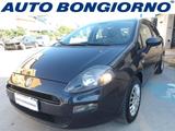 Fiat Punto 5 Porte Punto 5p 1.2 Easy - Fiat Punto EASY mit Benzin-Antrieb