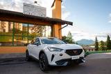 Cupra Formentor 2.0 TDI 4X4 - SOLO 36.000km - CUPRA Formentor KM