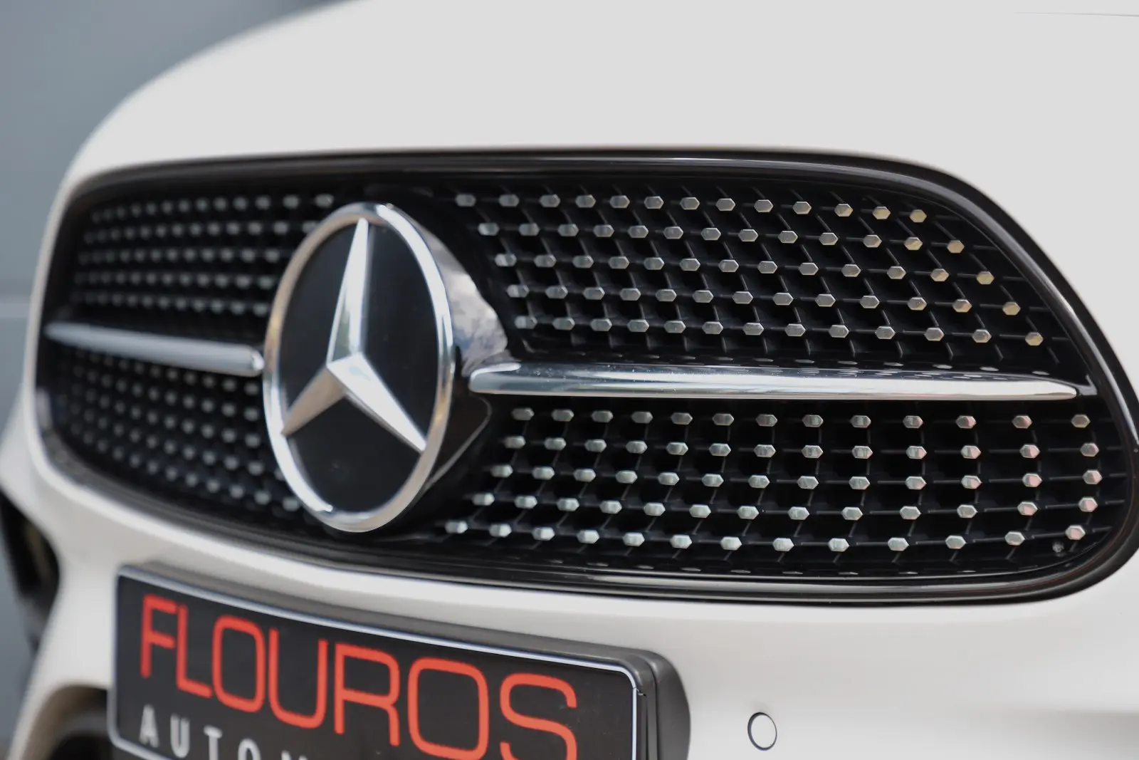 Mercedes-Benz E 220 d T-Modell AMG AHK SCHIEBEDACH