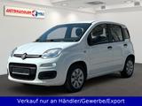 Fiat Panda 1.2i Pop aus 1.Hand Klimaanlage - Fiat Panda POP mit Benzin-Antrieb