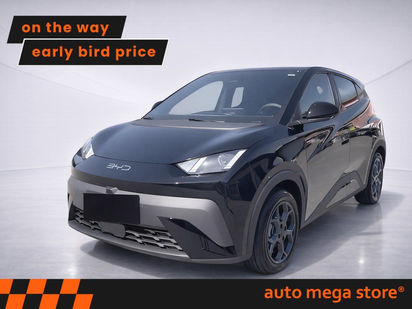 BYD DOLPHIN SURF