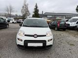 Fiat Panda Base * Klima* - gebrauchte Kleinwagen
