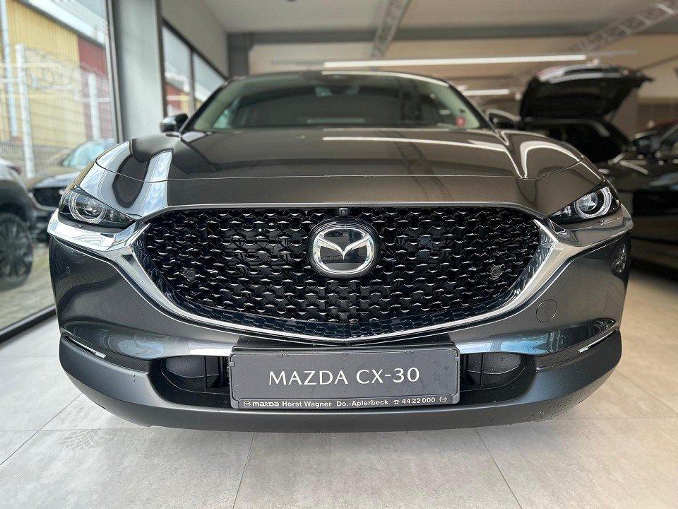 Mazda CX-30 Exclusive-Line 140 PS *Automatik*360-Grad*