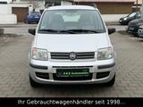 Fiat Panda 1.2 Dynamic *KLIMA/ZAHNRIEMEN+SERVICE NEU* - Fiat Panda: Dynamic