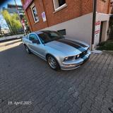 Ford Mustang V8   1.Hand - Ford Mustang Gebrauchtwagen in Stuttgart