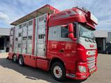 DAF XF 510 FAN ACC/ZF Intarder - Bauwagen