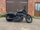Harley-Davidson Sportster Iron 883 (XL883N) - Harley-Davidson Sportster Iron 883