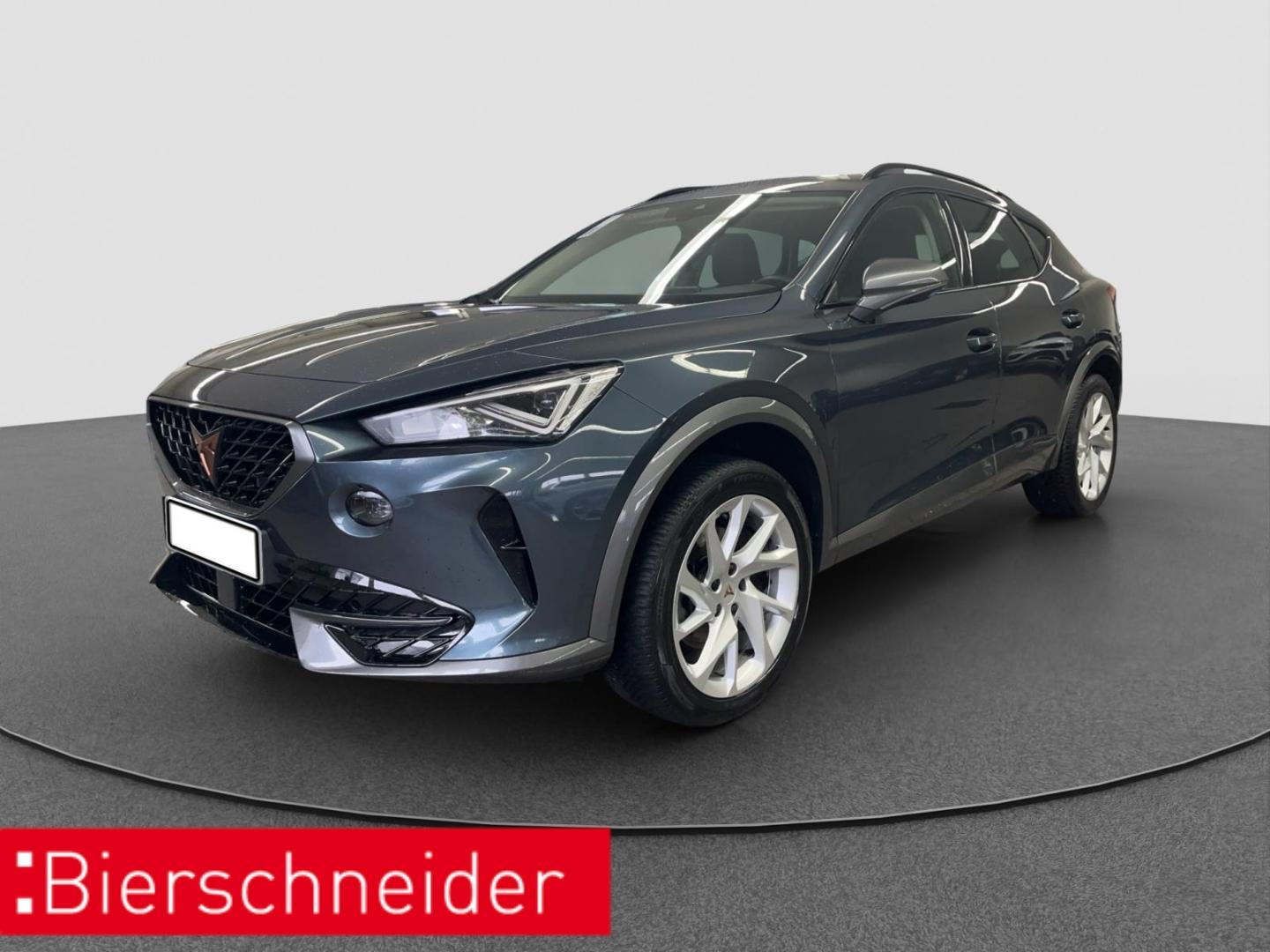 Cupra Formentor 1.5 TSI DSG NAVI DAB PDC SHZ