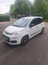 Fiat Panda Young - Fiat Panda: Young