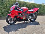 Honda CBR 600 F Sport PC 35 - HONDA CBR 600 F PC35