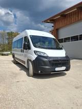 Peugeot Boxer L4H2 435 Fensterbus fast neu! - Peugeot Boxer: Kombi