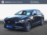 Mazda CX-30 e-SKYACTIVE X 186 SKYACTIV-Drive EXCLUSIVE - Mazda CX-30 mit Panoramadach