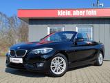 BMW 218i A Cabrio Advantage*LRH*Navi*HiFi*SHZ*PDC* - BMW 218 mit Benzin-Antrieb: Cabrio, Automatik