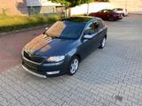 Skoda Rapid 1.4 TDI Scout Spaceback/Panorama/ACC - Skoda Rapid in Frankfurt (Main)