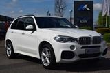 BMW X5 xDrive 40 e *M-SPORT* ALCANTARA * ACC * - BMW X5 in Köln