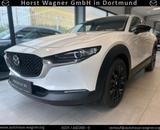 Mazda CX-30 Homura 2.5 140 PS *Navi*Tageszulassung*