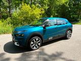 Citroën C4 Cactus PureTech 130 S&S Shine Shine - Citroën Gebrauchtwagen in Nürnberg